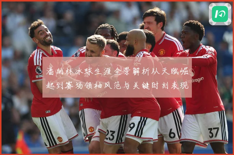 潘纳林冰球生涯全景解析从天赋崛起到赛场领袖风范与关键时刻表现
