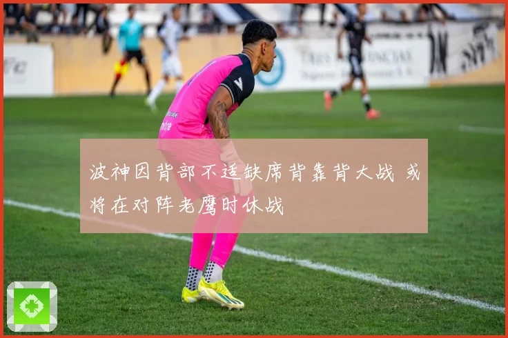 波神因背部不适缺席背靠背大战 或将在对阵老鹰时休战